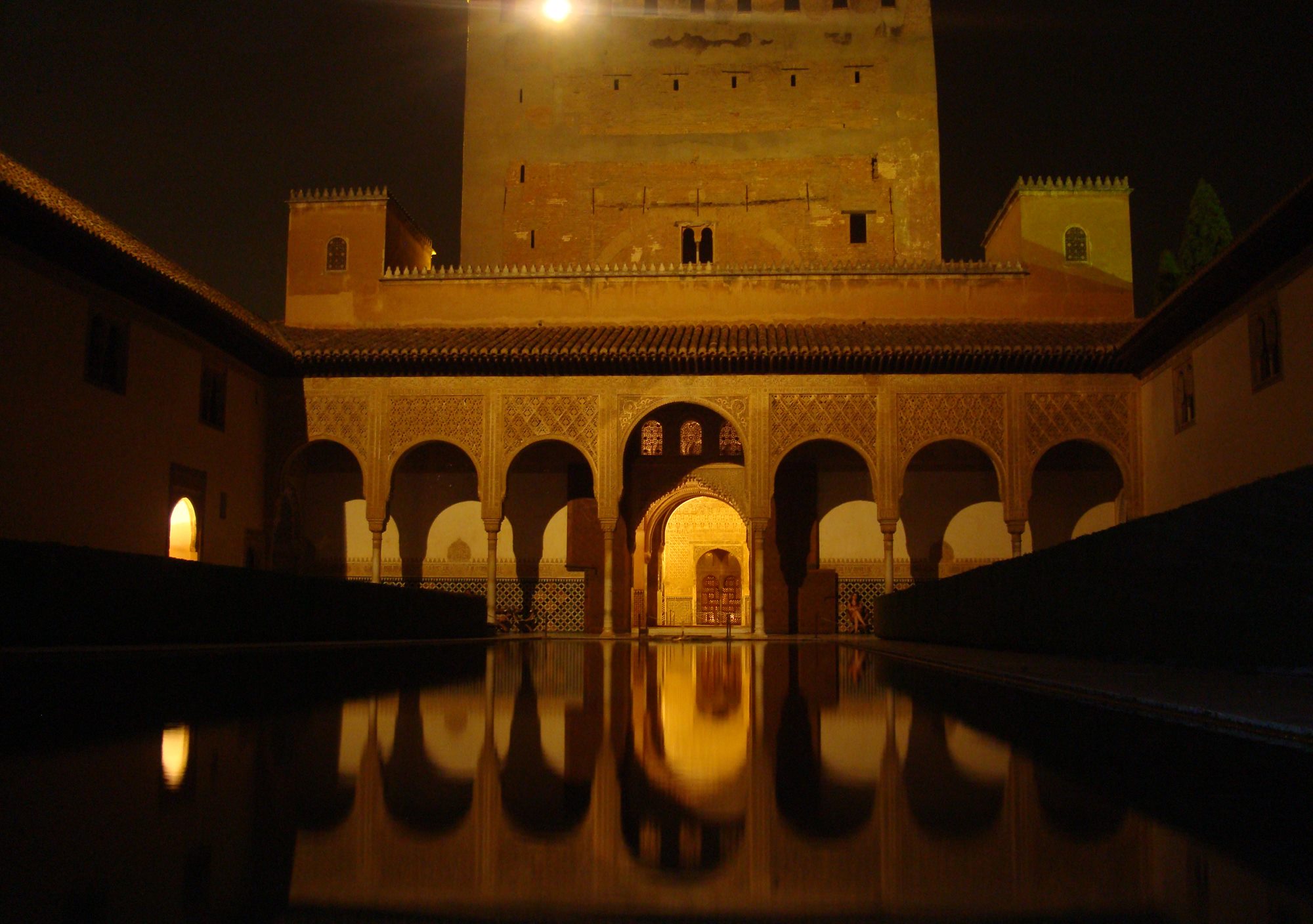 tours Night to the Alhambra Nasrid Palaces lions court